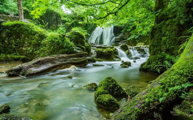 节能信息化环保